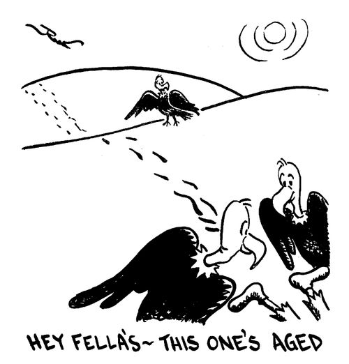 Hey fella, this one's aged.