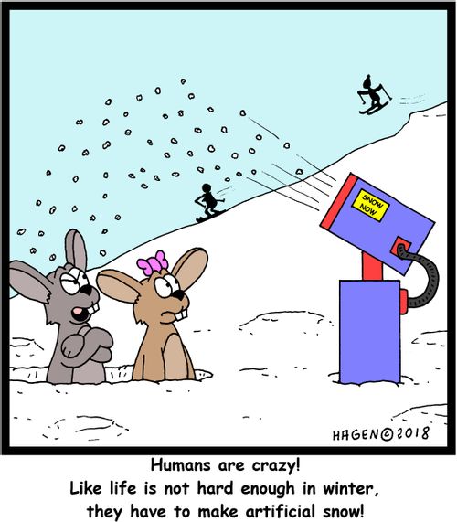"Humans are crazy! Like life is not hard enough in winter, they have to make artificial snow!"