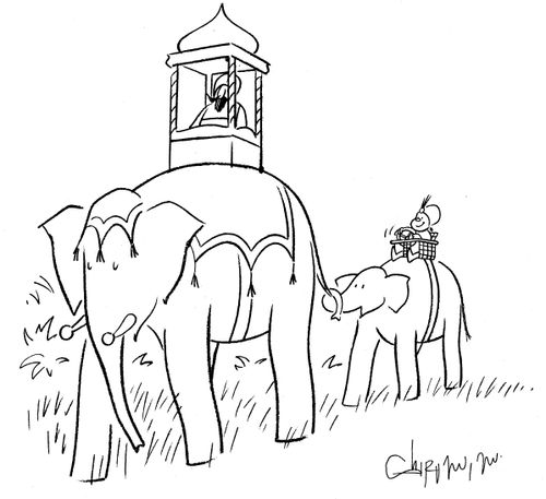 Elephant rides.