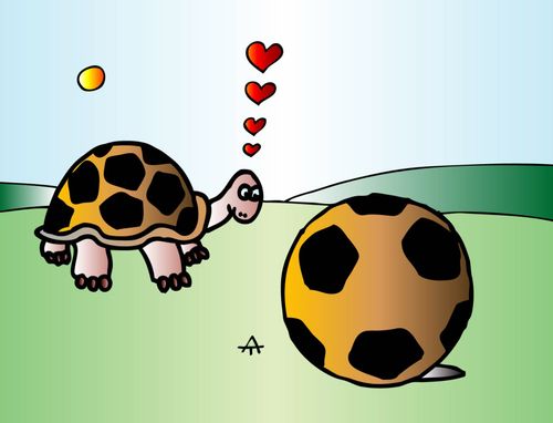 Tortoise Falls In Love With A Football.