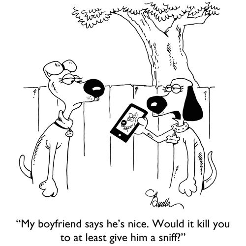 "My boyfriend says he's nice. Would it kill you to at last give him a sniff?"