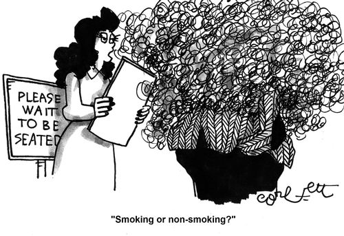 'Smoking or non-smoking?'