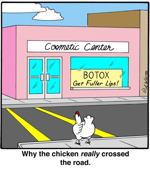 Why the chicken really crossed the road.