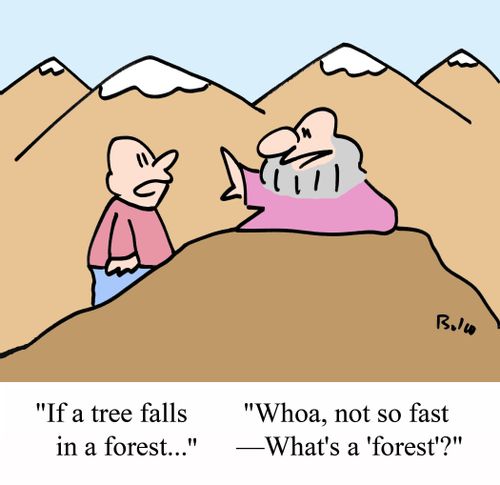 'Whoa, not so fast - What's a 'forest'?'