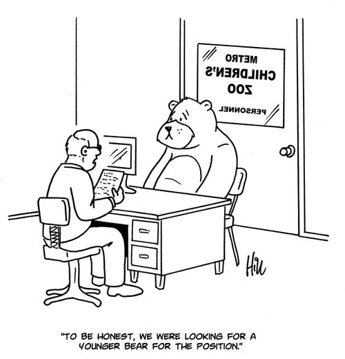 "To be honest, we were looking for a younger bear for the position."