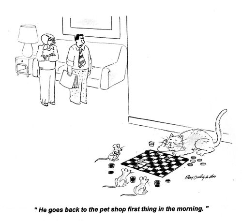 'He goes back to the pet shop first thing in the morning.'