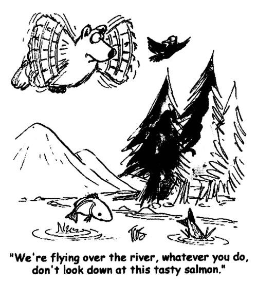 'We're flying over the river, whatever you do, don't look down at this tasty salmon.'