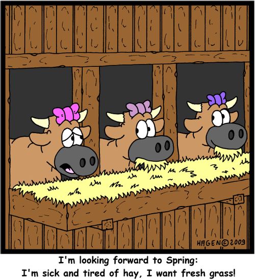 'I'm looking forward to Spring: I'm sick and tired of hay, I want fresh grass!'