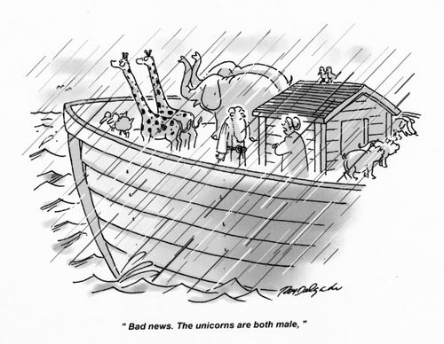 'Bad news. The unicorns are both male.'