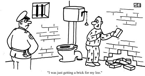 "I was just getting a brick for my loo."