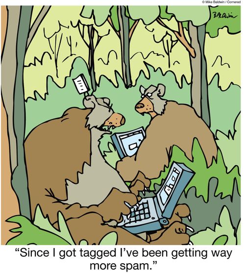 'Since I got tagged I've been getting way more spam.'