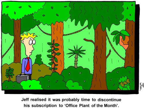 Jeff realised it was probably time to discontinue his subscription to 'Office Plant of the Month'.