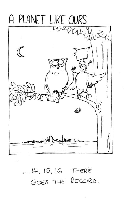 Owl seeing how many times it can twist it's head around - "...14, 15, 16, there goes the record."