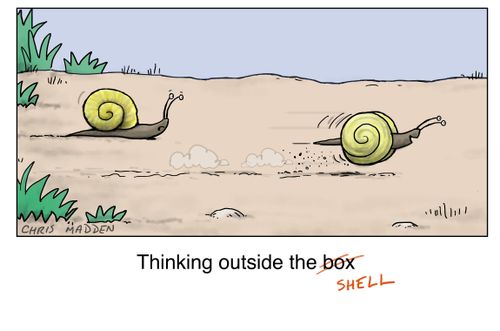 Thinking outside the box (or shell).