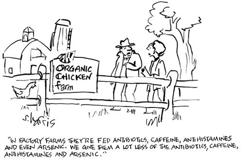 'In factory farms they're fed antibiotics, caffeine, antihistamines and even arsenic. We give them a lot less of the antibiotics, caffeine, antihistamines and arsenic.'
