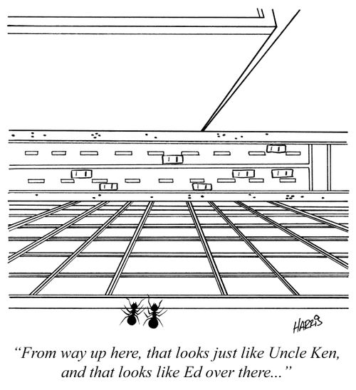 "From way up here, that looks just like Uncle Ken, and that looks like Ed over there..."