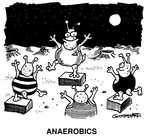 Anaerobics
