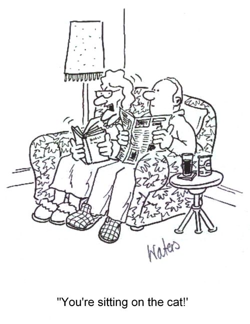 'You're sitting on the cat,,,'