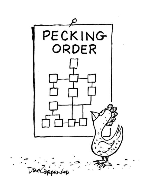 Pecking order.