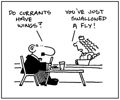 'Do currants have wings?' - 'You've just swallowed a fly.'