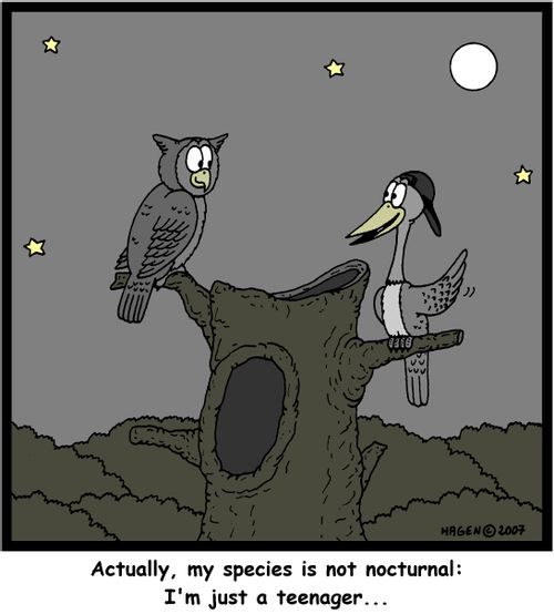 "Actually, my species is not nocturnal: I'm just a teenager..."