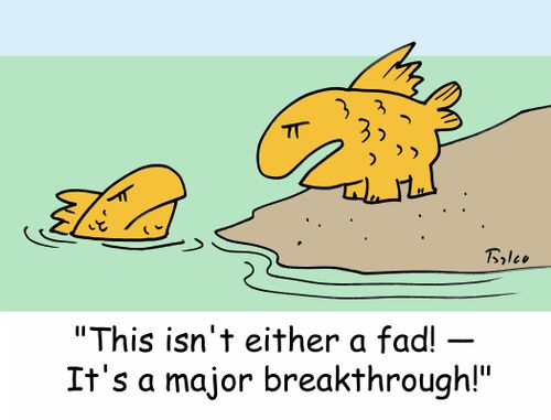 'This isn't either a fad! -- It's a major breakthrough!'