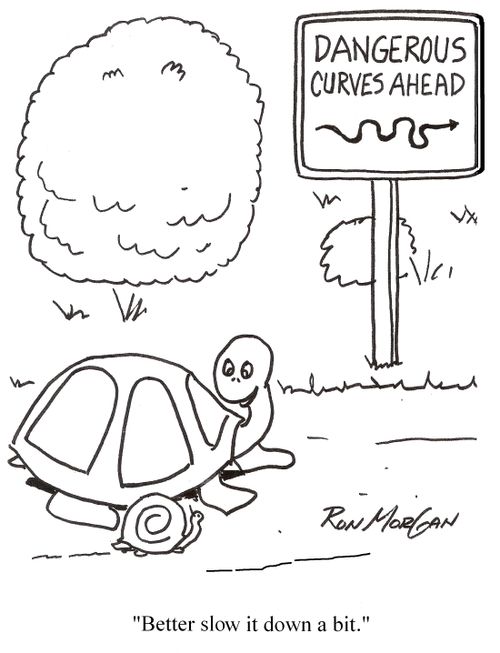 'Better slow it down a bit.'