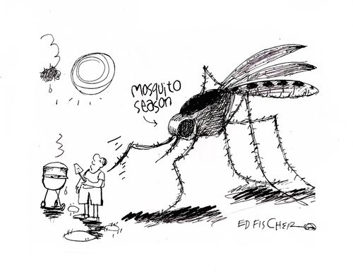 Mosquito Season