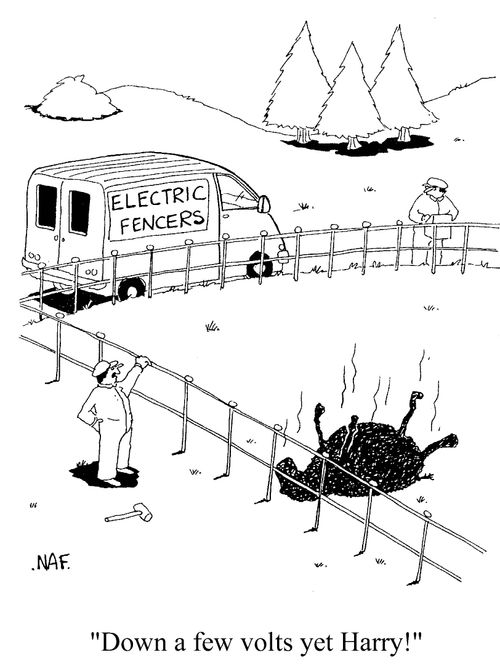 'Down a few volts yet Harry!'