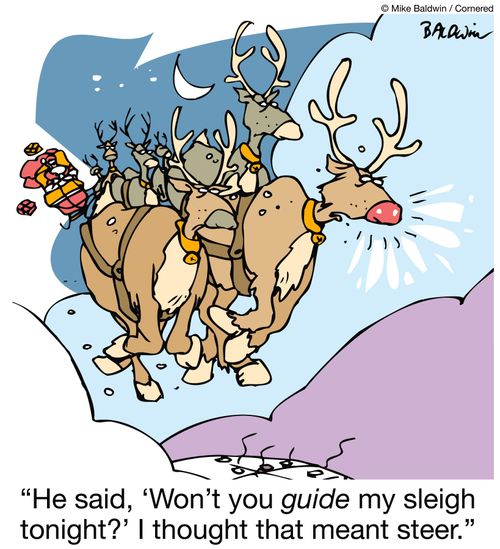 "He said, 'Won't you guide my sleigh tonight?' I thought that meant steer."