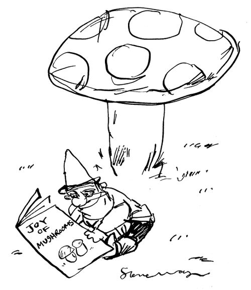 Gnome reading the 'Joy of mushrooms'