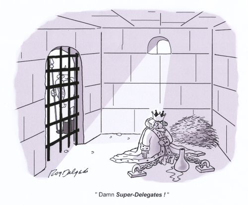'Damn Super-Delegates!'
