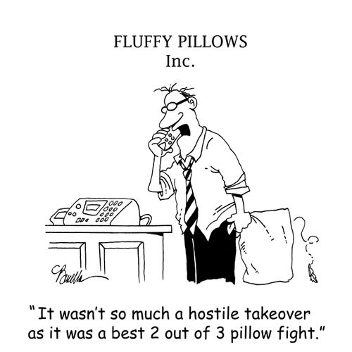 'It wasn't so much a hostile takeover as it was a best 2 out of 3 pillow fight.'
