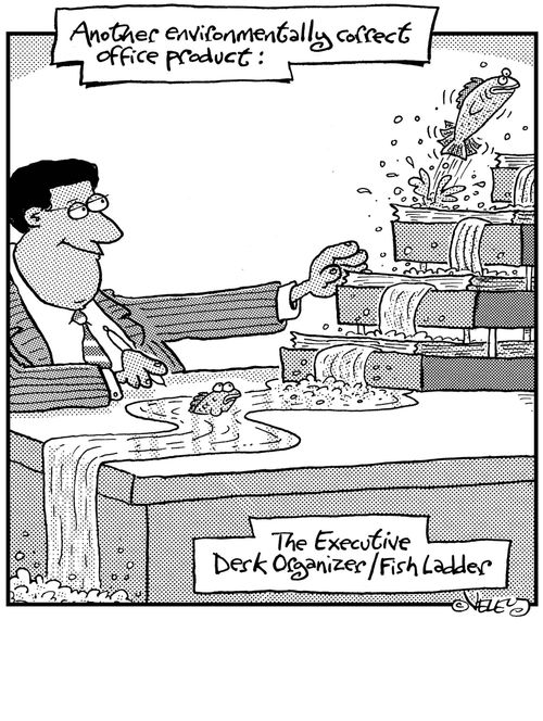 Another environmentally correct office product: The executive desk/organizer-fish ladder