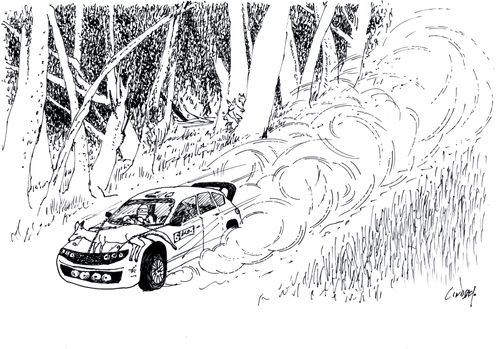 Rally Car with kangaroo attached to the front.