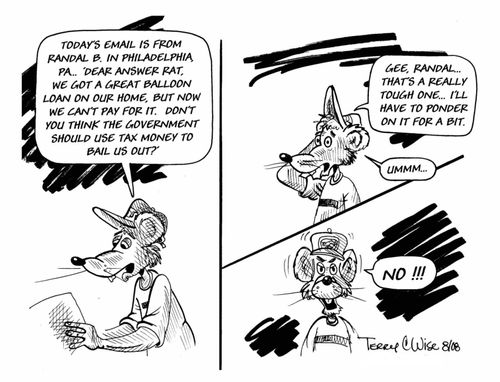 Home mortgages and government bailouts.