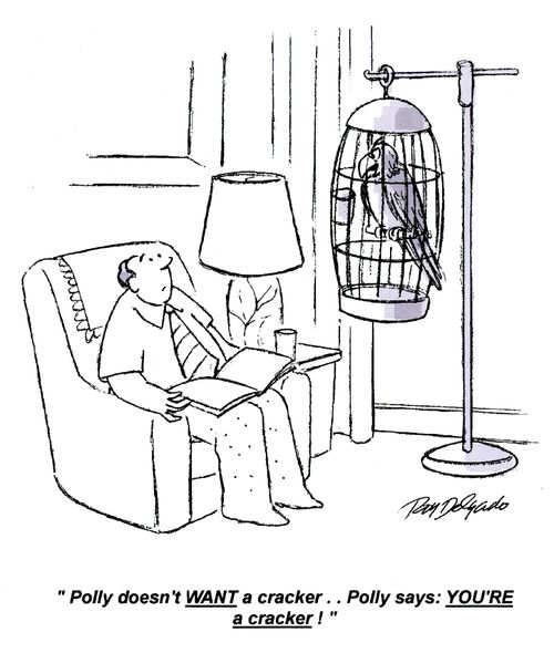 'Polly doesn't WANT a cracker.. Polly says: YOU'RE a cracker!'