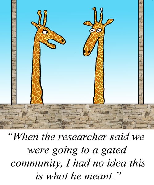 "When the researcher said we were going to a gated community, I had no idea what he meant."