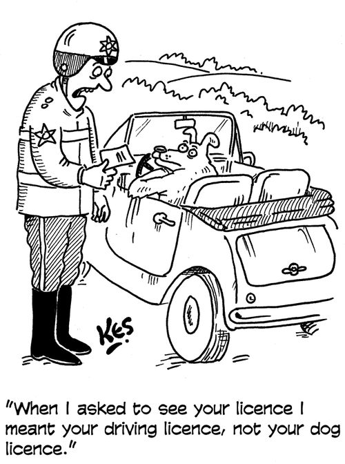 "When I asked to see your licence I meant your driving licence, not your dog licence."