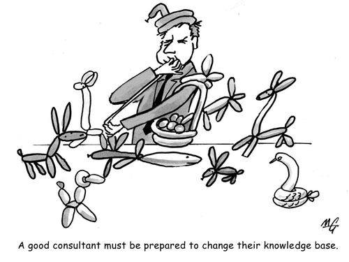 A good consultant must be prepared to change their knowledge base.