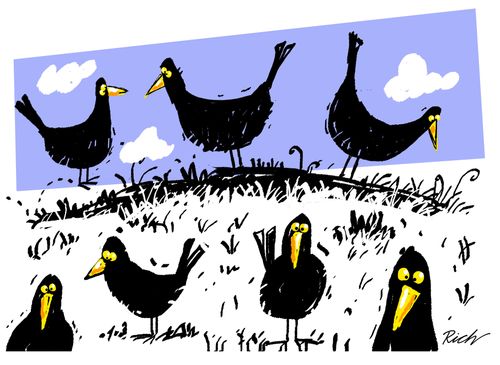 Blackbirds.