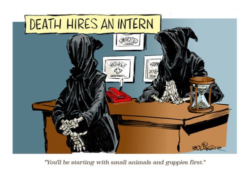 "You'll be starting with small animals and guppies first."