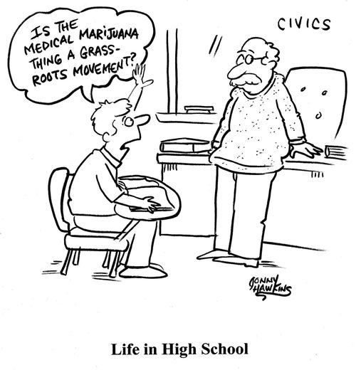 Student: 'Is the medical marijuana thing a grass-roots movement?' 