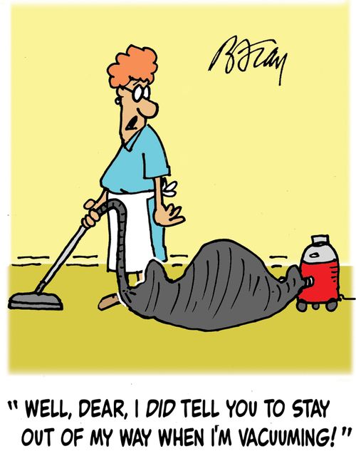 'Well, dear, I did tell you to stay out of my way when I'm vacuuming!'