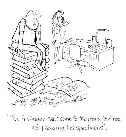 'The Professor can't come to the phone just now, he's pressing his specimens.'