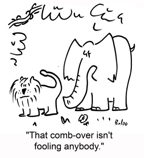 'That comb-over isn't fooling anybody.'