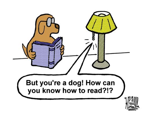 'But you're a dog! How can you know how to read?!?'
