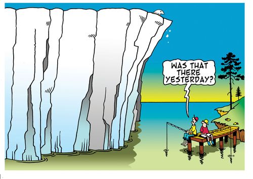 How much can a polar bear?