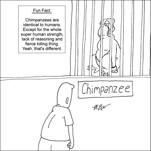 Chimpanzees are identical to humans. Except for the whole super human strength, lack of reasoning and fierce killing things. Yeah, that's different. 