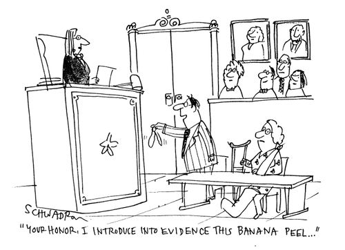 'Your honor, I introduce into evidence this banana peel...'